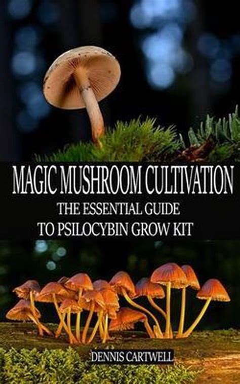 Get your hands on magic mushroom growing supplies